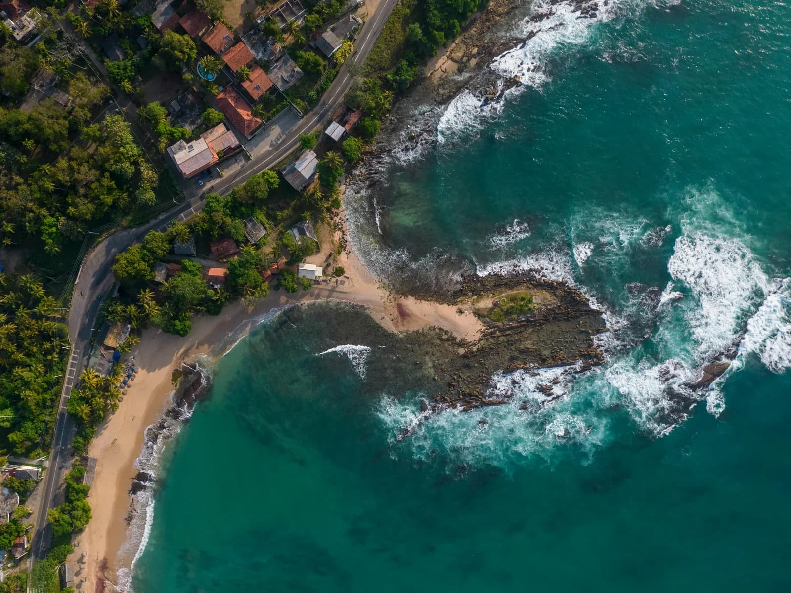 Tea country train tour