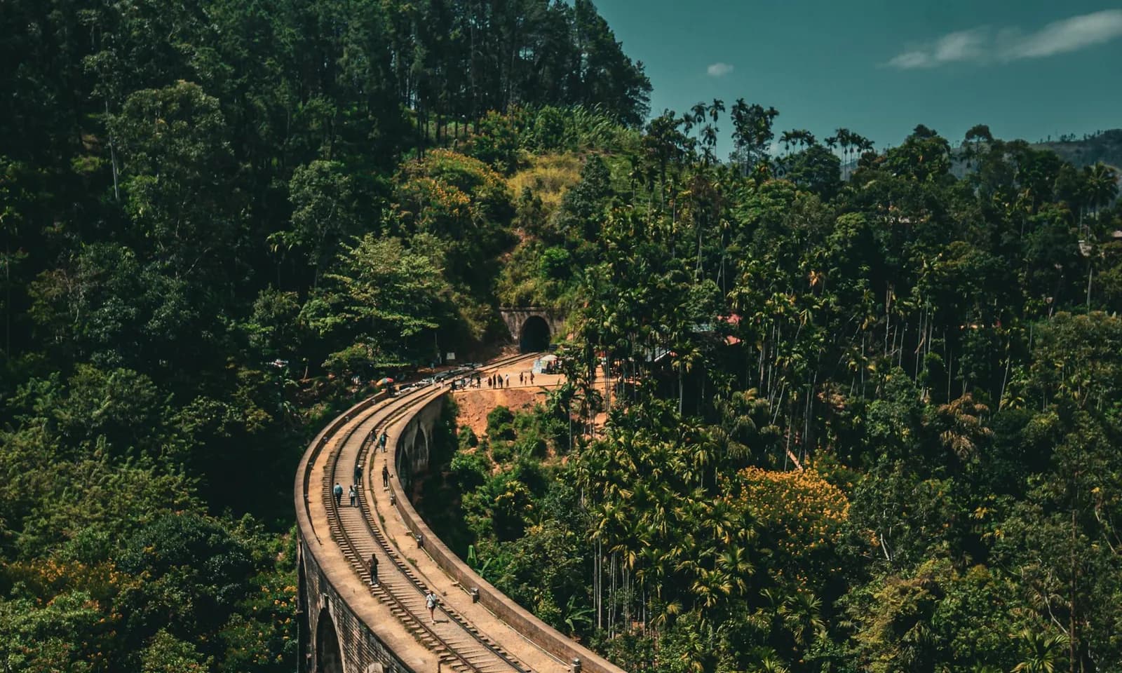 8 Day Sri Lanka Up-Country & Hill-Country Explorer